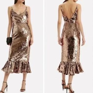 SALONI Aidan Sequin Evening Dress NO LABEL inside - perfect condition.